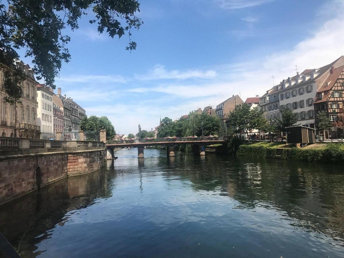 Le Cocon Urbain - Joli Recemment Renove Appartement Straatsburg